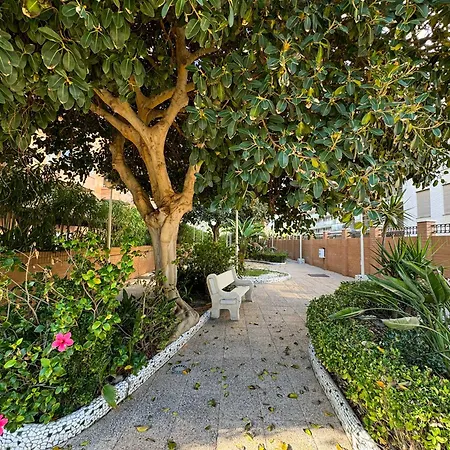 Apartamento Gaudir Oropesa del Mar
